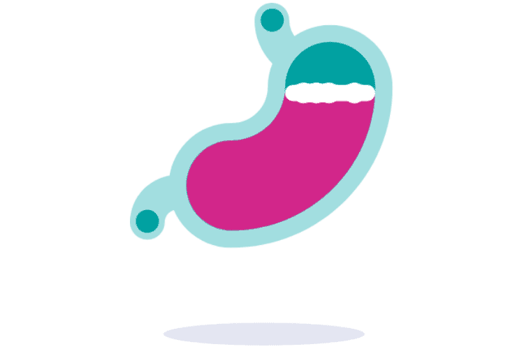 stomaco