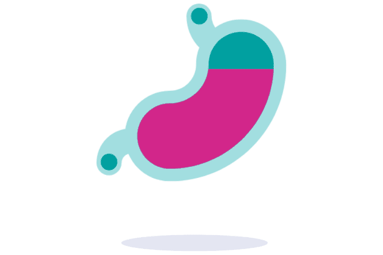Stomaco