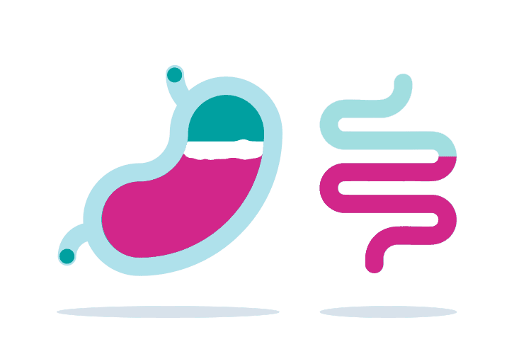 stomaco